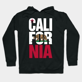 California City IN USA Hoodie